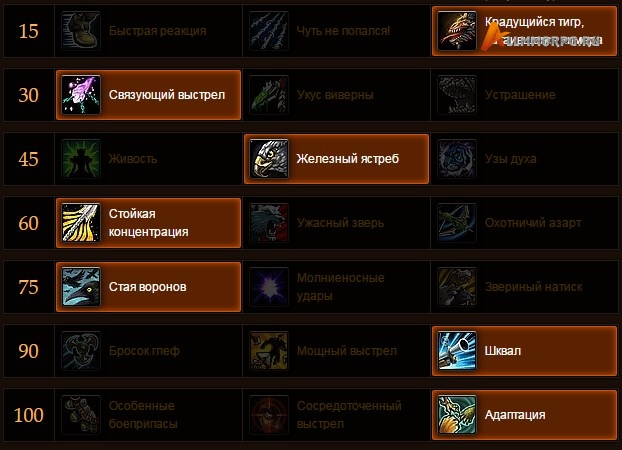 PvE билд БМ Ханта
