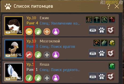 black desert еда для питомцев. Смотреть фото black desert еда для питомцев. Смотреть картинку black desert еда для питомцев. Картинка про black desert еда для питомцев. Фото black desert еда для питомцев