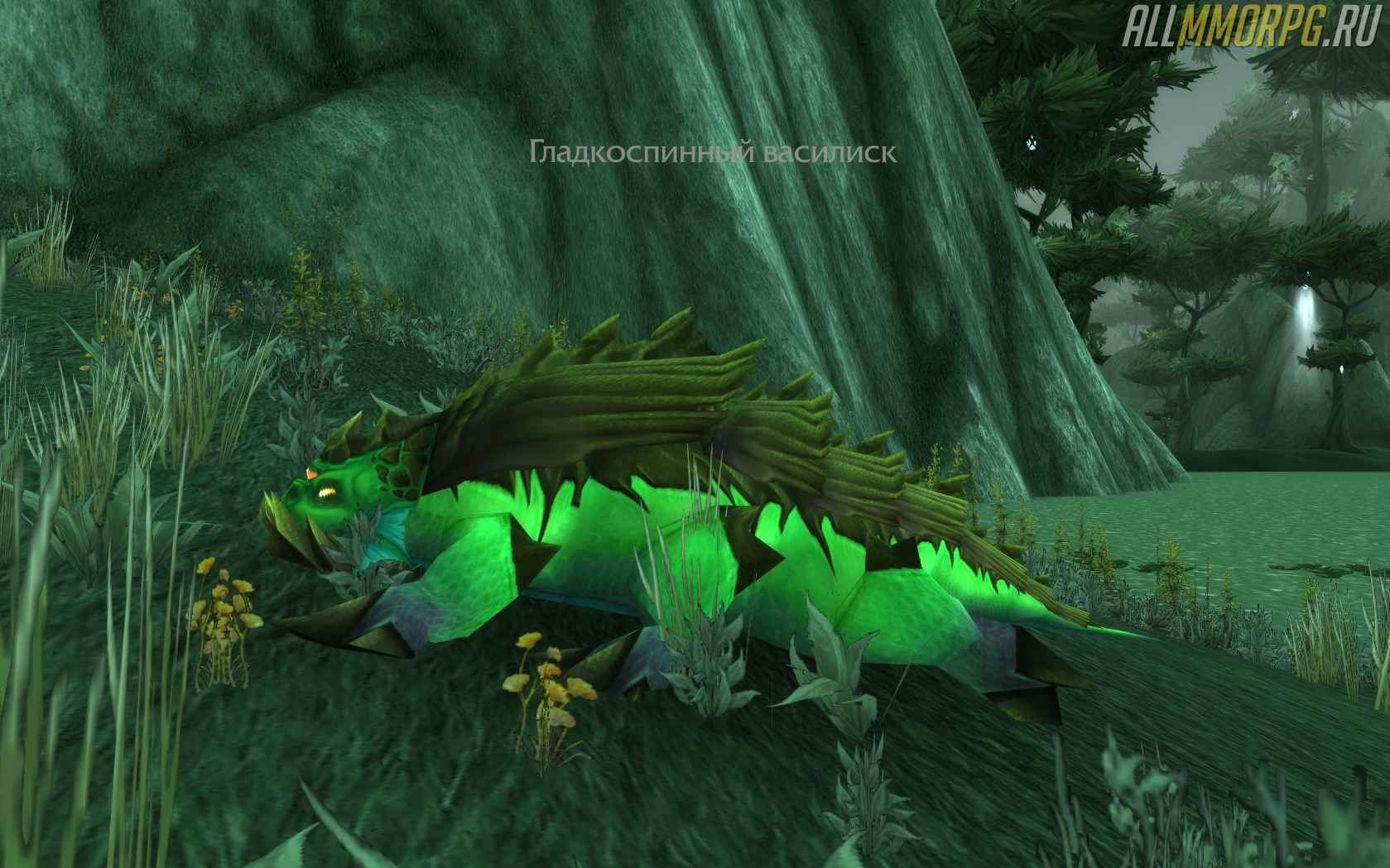 Screenshot_1