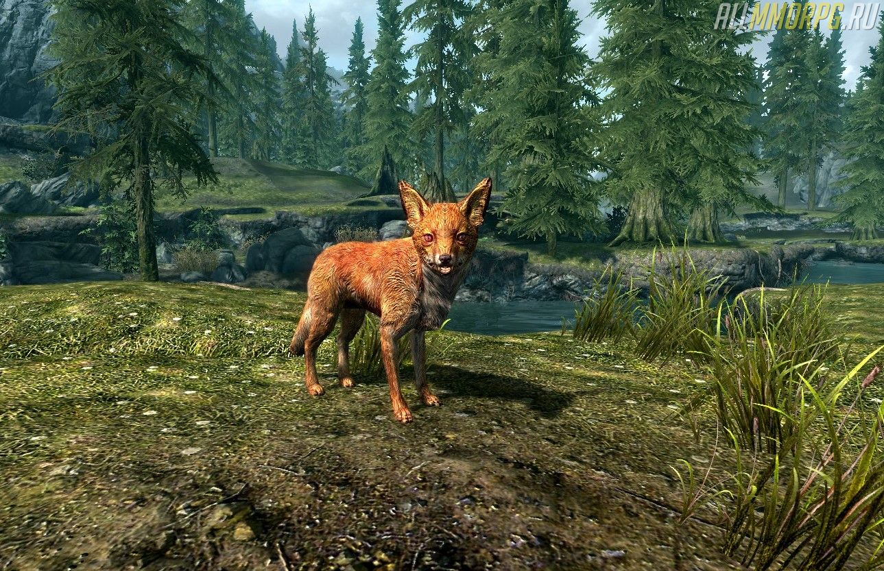 Screenshot_1