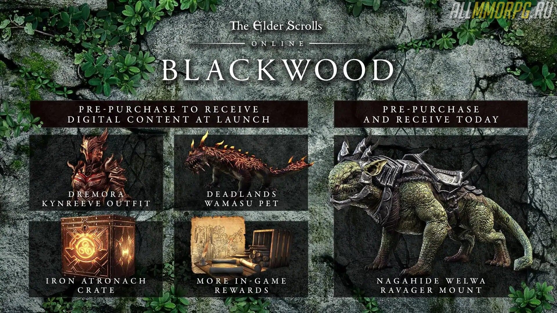 The elder scrolls чем хороша. Смотреть фото The elder scrolls чем хороша. Смотреть картинку The elder scrolls чем хороша. Картинка про The elder scrolls чем хороша. Фото The elder scrolls чем хороша
